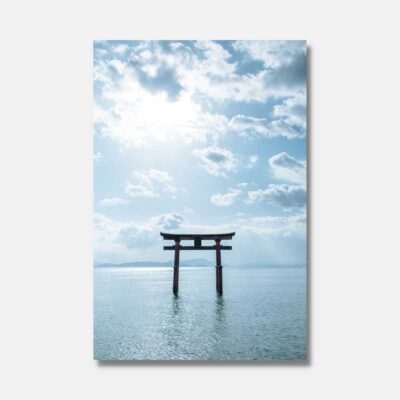 Shorebite surfer hai-tann halskjede